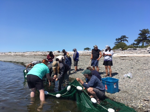 UVic Living Lab Project learning